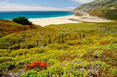 doğal manzara california devlet yolu 1