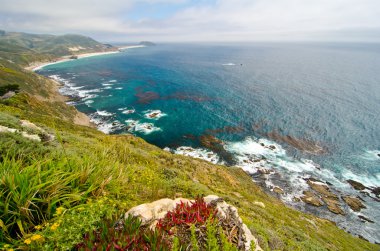 doğal manzara california devlet yolu 1