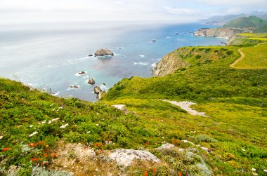 doğal manzara california devlet yolu 1