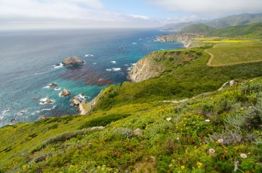 doğal manzara california devlet yolu 1