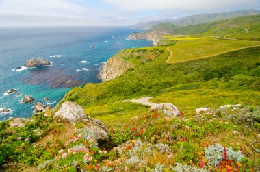 doğal manzara california devlet yolu 1