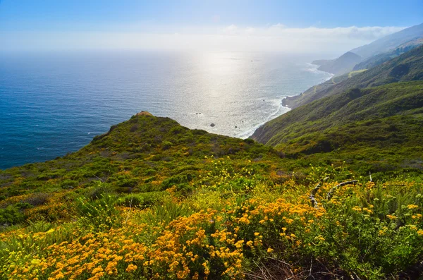 カリフォルニア州のルート 1 で風光明媚な眺め — ストック写真