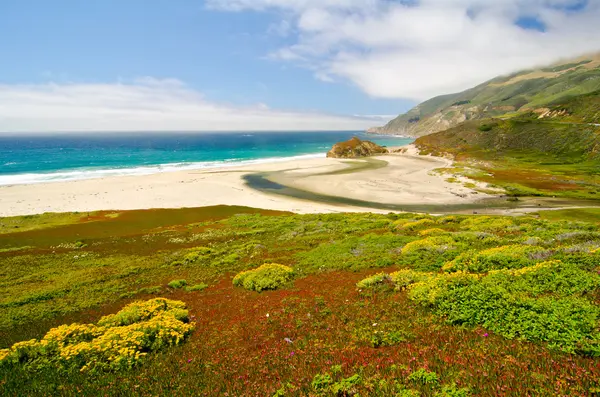 Scenic Vista på California State Route 1 - Stock-foto