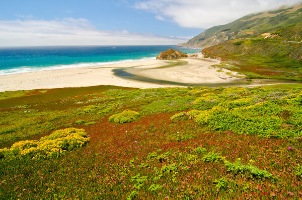 Scenic Vista on California State Route 1