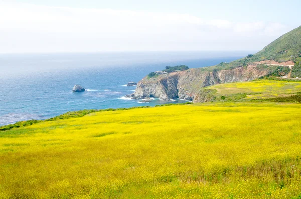 Vista panorâmica na Rota 1 do Estado da Califórnia — Fotografia de Stock