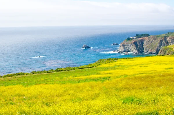 Vista panorâmica na Rota 1 do Estado da Califórnia — Fotografia de Stock