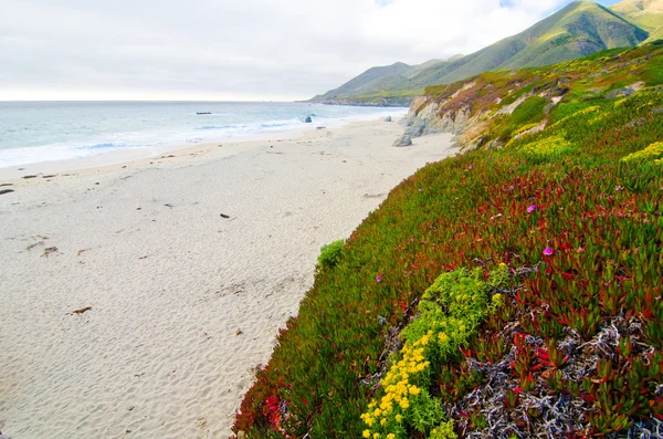 Scenic Vista på California State Route 1 - Stock-foto