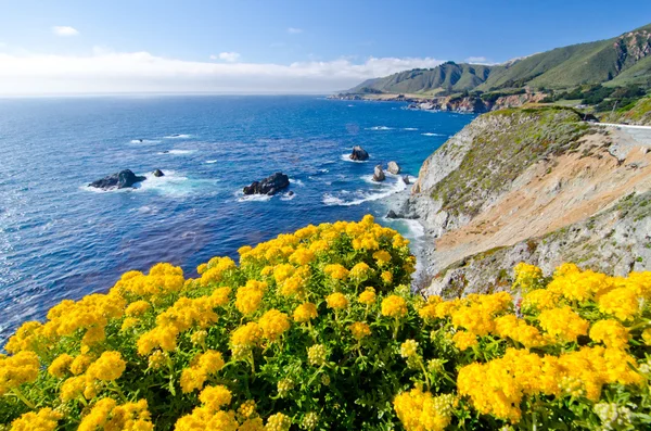 Vista panorâmica na Rota 1 do Estado da Califórnia — Fotografia de Stock