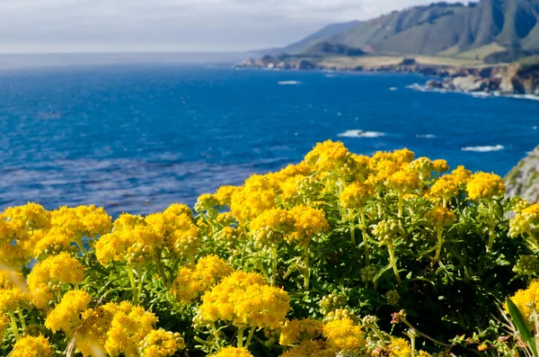 Scenic Vista di California State Route 1 — Stok Foto