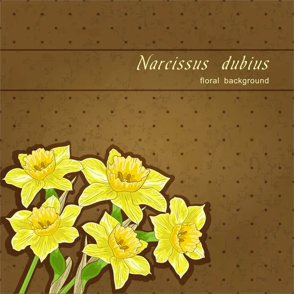 Kleurrijke narcissus — Stockvector