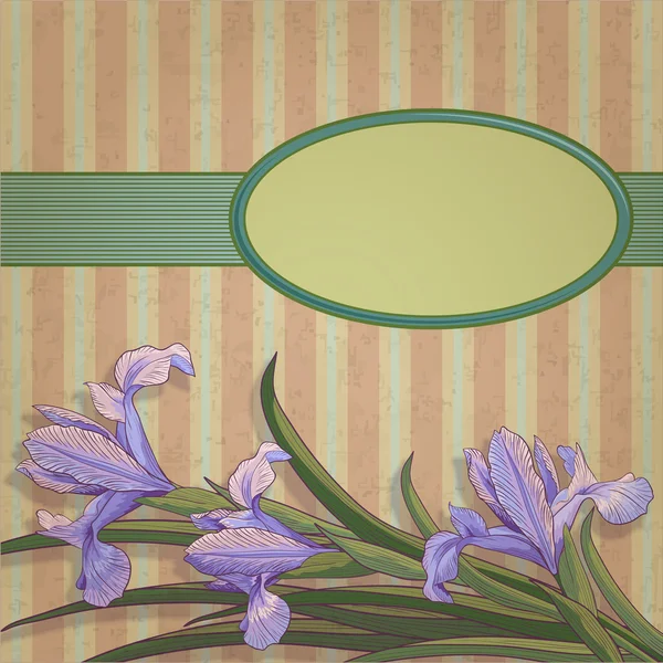 Blueflag cadre floral — Image vectorielle