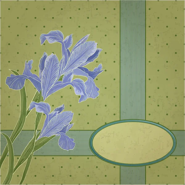 Cadru floral blueflag — Vector de stoc