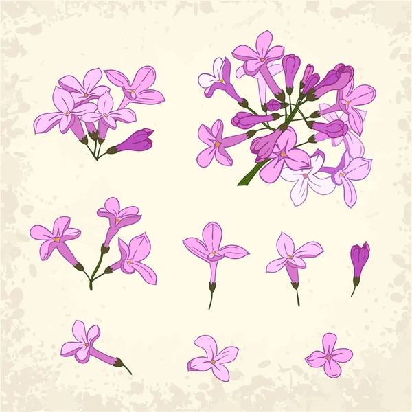 Conjunto de detalhes lilás — Vetor de Stock