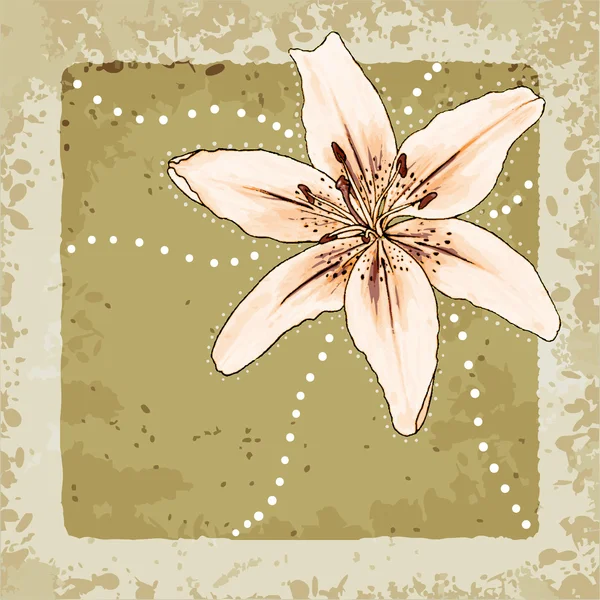 Shabby lily flower — Stock vektor