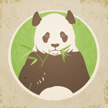 Panda.