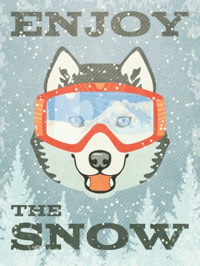 husky ile kış poster