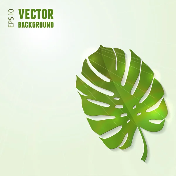 Philodendron blad — Stockvector