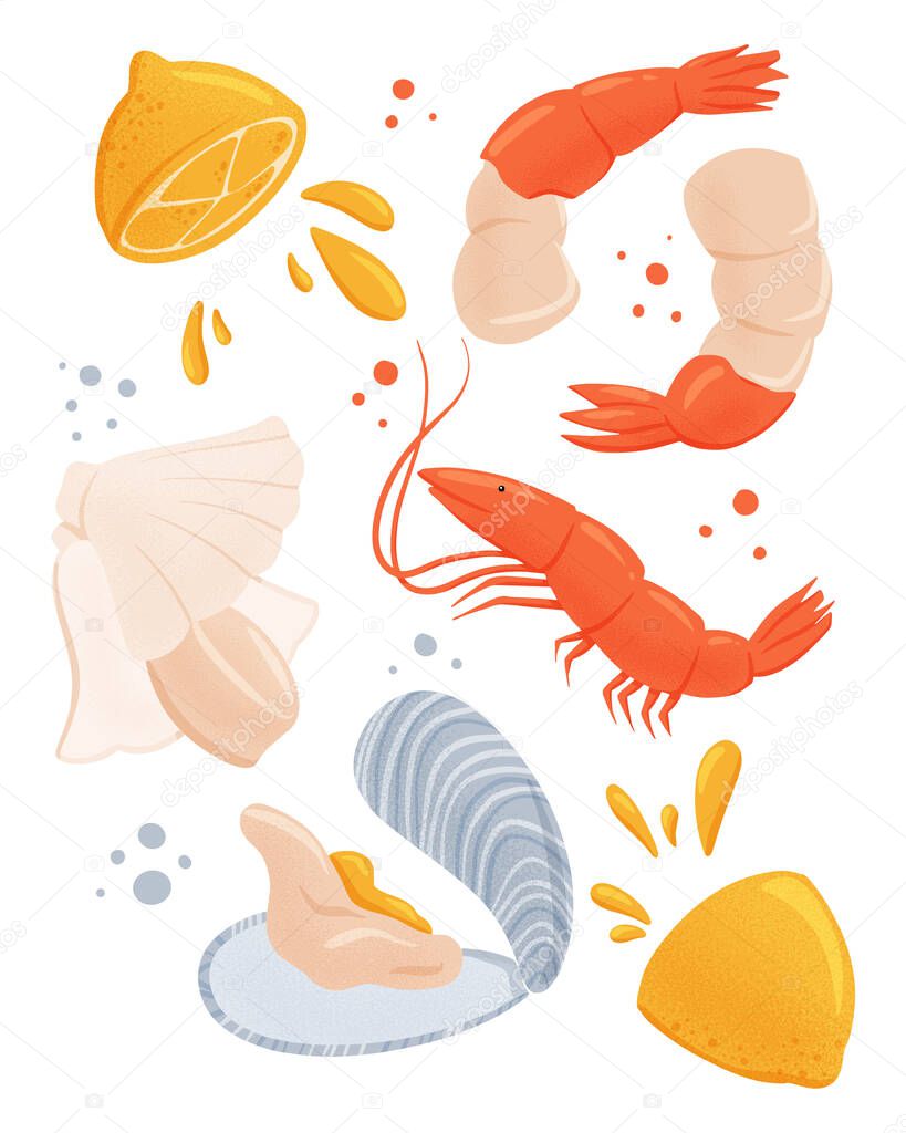 Set of hand drawn seafood illustration isolated on white background. Shrimps, scallop, mussel and juicy lemons.