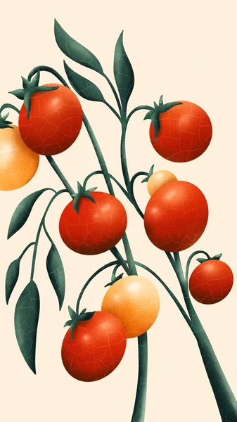 Rote Und Gelbe Reife Kirschtomaten Auf Einem Grünen Zweig Illustration — Stockfoto