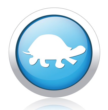 Kaplumbağa düğmesi