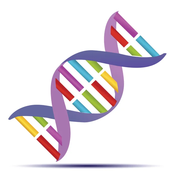 Dna strands icon — Stock Vector