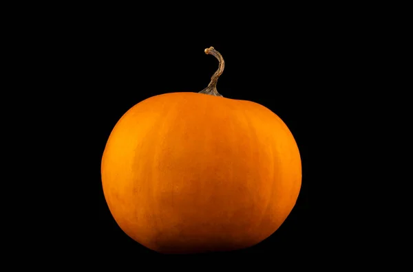 Abóbora saudável sazonal decorativa não esculpida pronta para a celebração de Halloween dos outonos. — Fotografia de Stock