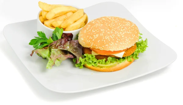 Burger and fries — Stock Photo, Image