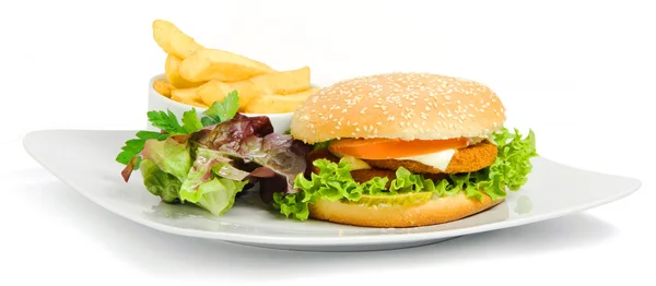 Burger i frytki — Zdjęcie stockowe