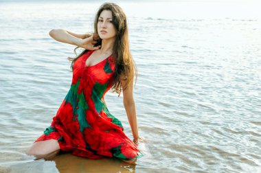 bir arka plan üzerinde haşhaş-elbiseli güzel bir Asya portresi