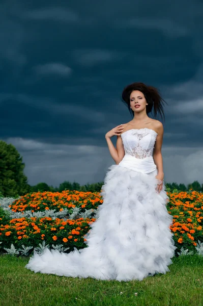 黒い雲や花壇の背景に花嫁 — ストック写真