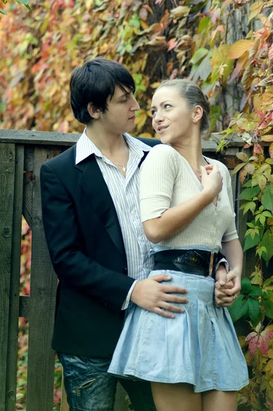 Pareja conversaciones por la valla en el fondo de las hojas de otoño — Foto de Stock