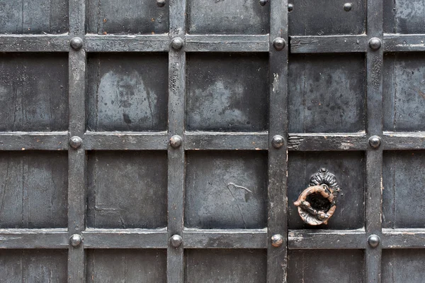 Elementi della vecchia porta con maniglia — Foto Stock