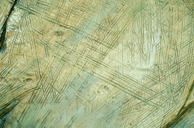 Eski boyanmış ahşap doku