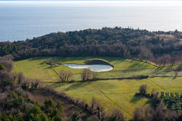 Kust van Gardameer, desencano, Italië (olijvenvelden)) — Stockfoto