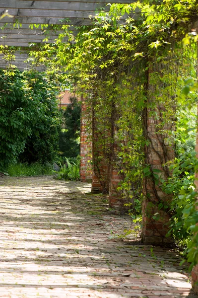 Terrasse eines Backsteinhauses inmitten grüner Bäume — Stockfoto