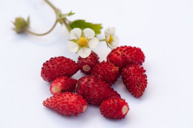 Beyaz arka planda izole edilmiş çilekler.