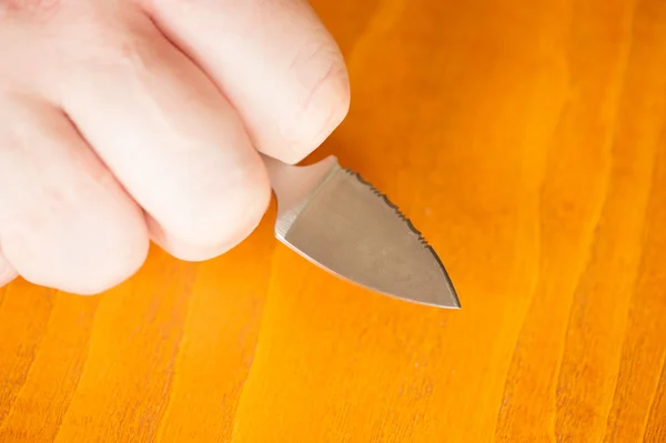 Strony gospodarstwa małe walki nożem — Zdjęcie stockowe
