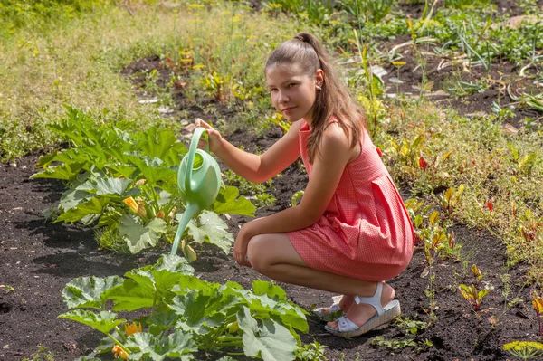 Jolie fille arrosant des plantes dans un jardin — Photo