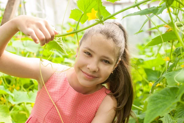 Girl in the greenhouse — Stock Photo, Image