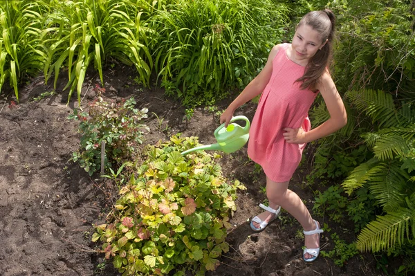 Cute girl watering plants in a garden — Stock Photo, Image