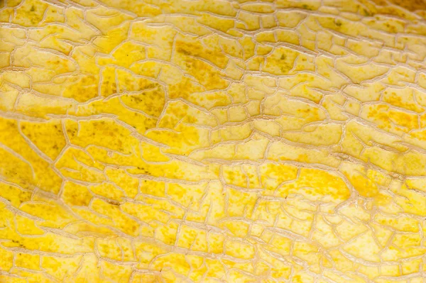 Yellow leather texture — Stock Photo, Image