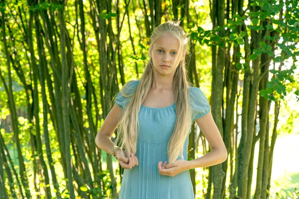 Hermosa joven con el pelo largo y rubio en vestido azul en el campo —  Fotos de Stock