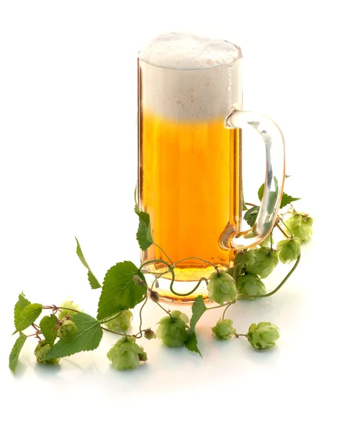 Glas Bier und Hopfenpflanze — Stockfoto