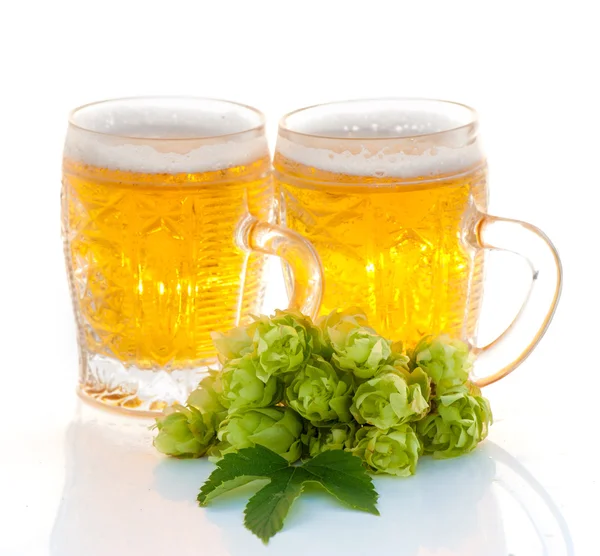 两杯啤酒和蛇麻草植物 — 图库照片
