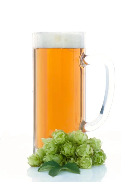 Glass 的啤酒和蛇麻草植物 — 图库照片