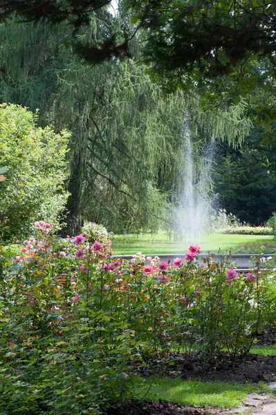 Prachtige botanische tuin — Stockfoto