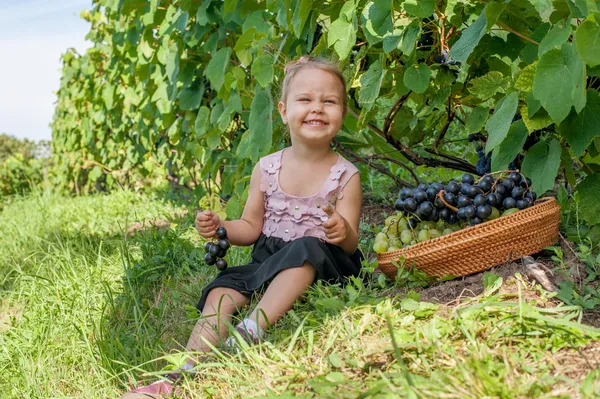 A menina com uvas nas mãos — Fotografia de Stock