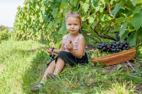 The girl with grapes in hands — Stock Photo, Image