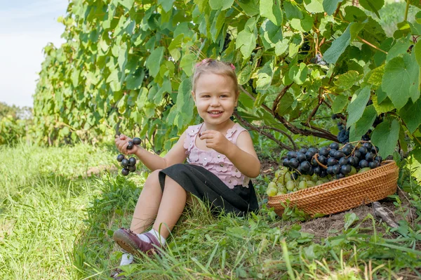 Little girl is eating grapes outdoors — Stock Photo, Image