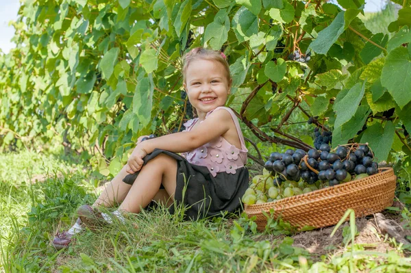 Gadis kecil di kebun anggur — Stok Foto